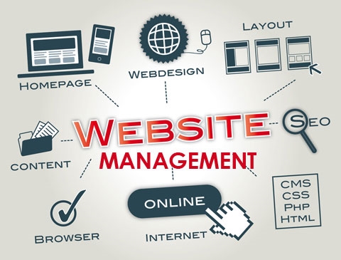 cách quản lý website
