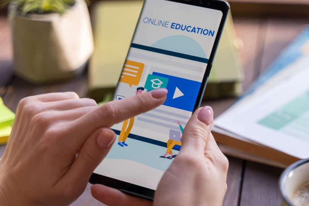 thiết kế website giáo dục